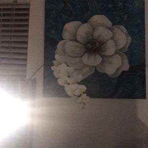 Meet your Posher, Liz